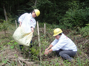 前回（2012年）の「ドコモ島根だんだんの森」森林整備活動の様子