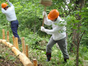 前回(2013年)の「ドコモ美作の森」森林整備活動の様子