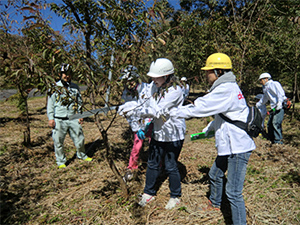 前回（2014年）の「ドコモ島根だんだんの森」森林整備活動の様子