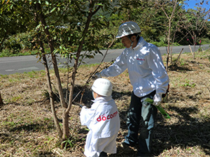 前回（2014年）の「ドコモ島根だんだんの森」森林整備活動の様子