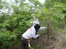 「ドコモ安芸野呂の森」森林整備活動の様子