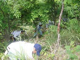 「ドコモ安芸野呂の森」森林整備活動の様子