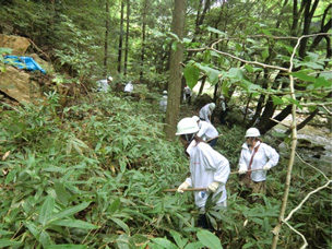 2014年9月に行われた「ドコモ徳地滑松の森」森林整備活動の模様