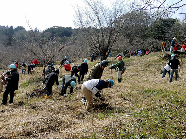 「ドコモ秋吉さくらの森」森林整備活動(植樹)の様子