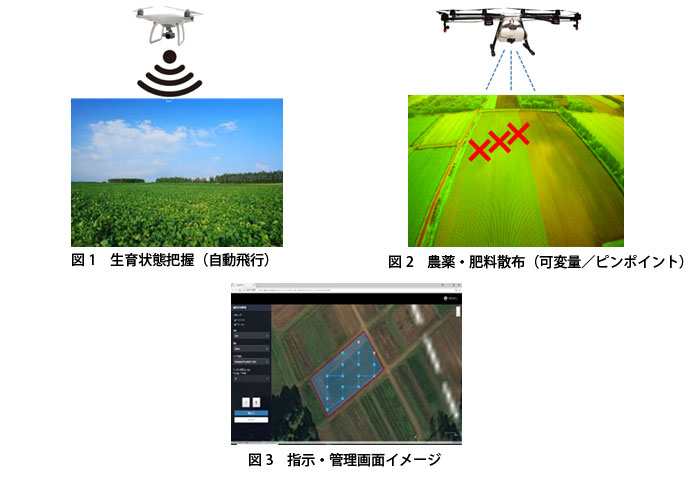 実証実験内容