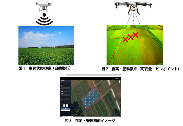 実証実験内容