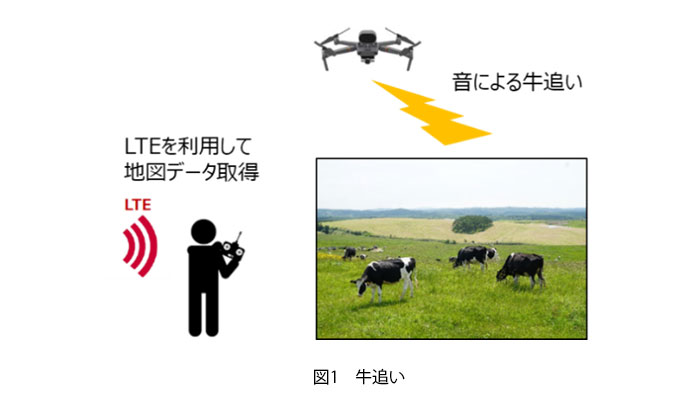 図1 牛追い