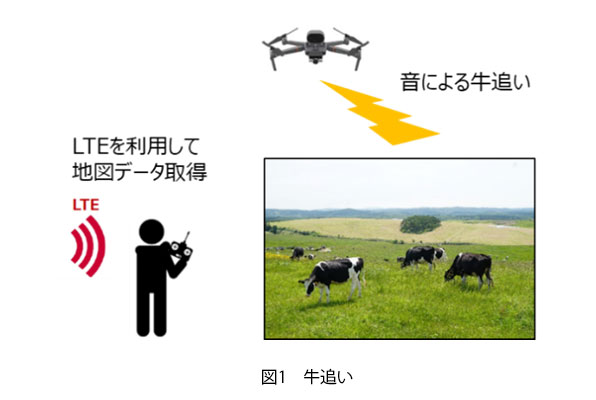 図1 牛追い