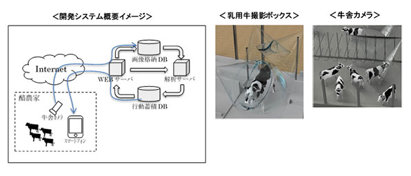 図1　開発システム概要イメージ・乳用牛撮影ボックス・牛舎カメラ