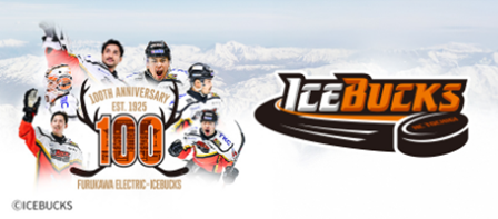 d払い「日光アイスバックス」きせかえデザイン100周年キービジュアルver．