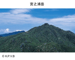 宮之浦岳 画像
