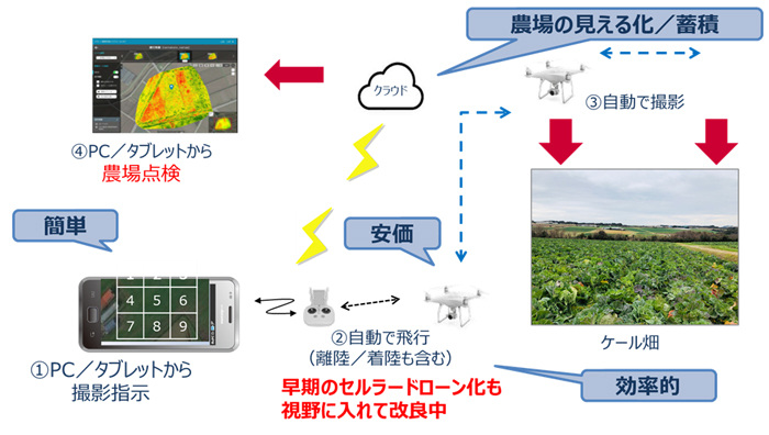 実証実験イメージ