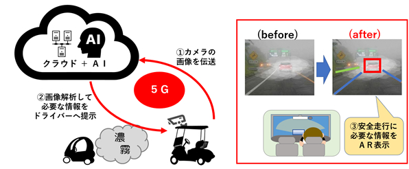 昭和電工ドーム大分での実施イメージ