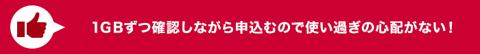 1GBずつ確認しながら申込むので使い過ぎの心配がない！