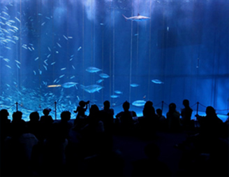 ナイトウォークのイメージ