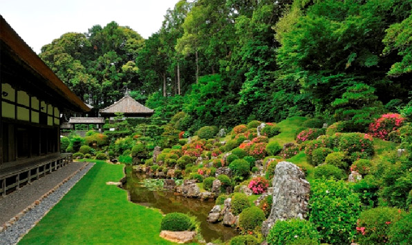 井伊家の菩提寺「龍潭寺」