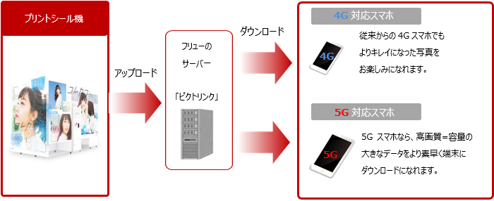 本実証実験の構成図