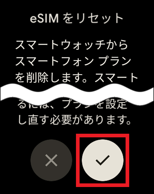 「eSIMをリセット チェックボタン」画面