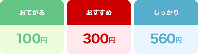 おてがる100円、基本300円、しっかり560円