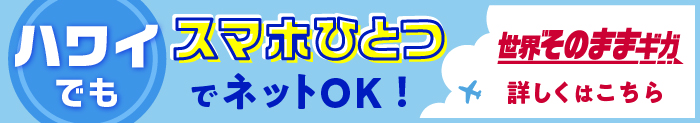 ハワイでもスマホひとつでネットOK！世界そのままギガ