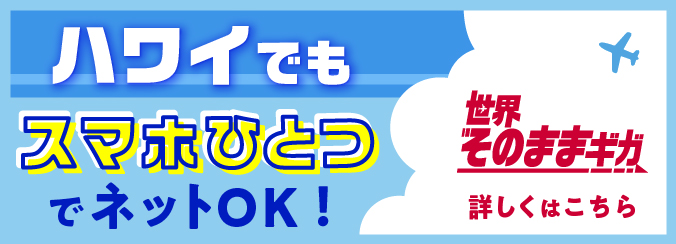 ハワイでもスマホひとつでネットOK！世界そのままギガ