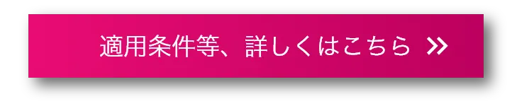 適用条件等、詳しくはこちら