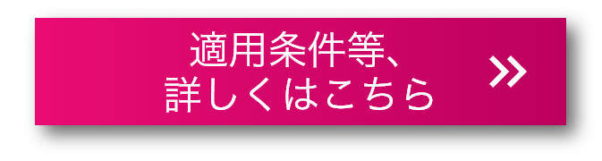適用条件等、詳しくはこちら