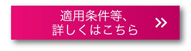 適用条件等、詳しくはこちら