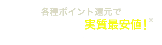 各種ポイント還元でDAZN月額プラン実質最安値！※ ※2025年4月1日時点 当社調べ