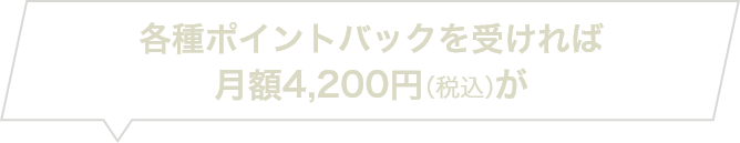 各種ポイントバックやお値引きを受ければ月額3,700円（税込）