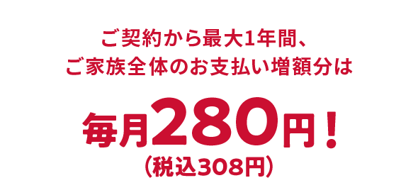 ご契約から最大1年間、ご家族全体のお支払い増額分は毎月280円！（税込308円）
