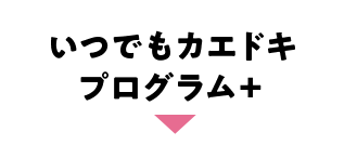 いつでもカエドキプログラム＋
