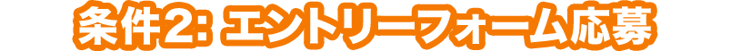 条件2: エントリーフォーム応募