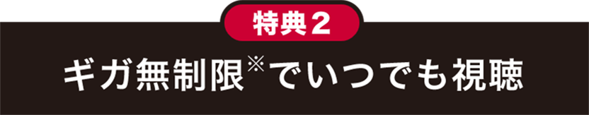 特典2 ギガ無制限※でいつでも視聴