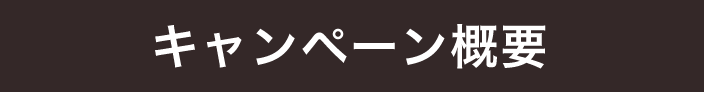 キャンペーン概要