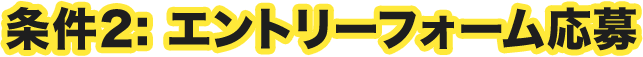条件2：エントリーフォーム応募
