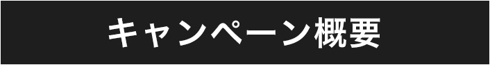 キャンペーン概要