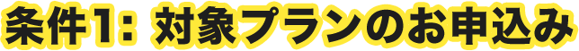 条件1：対象プランのお申込み