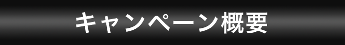キャンペーン概要