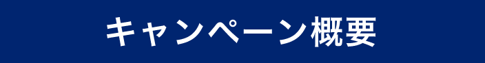 キャンペーン概要