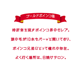 時折姿を現すポインコ界のセレブ。頭の毛が10本もパーッと開いており、ポインコ兄弟にとって憧れの存在。よく行く場所は、日焼けサロン。