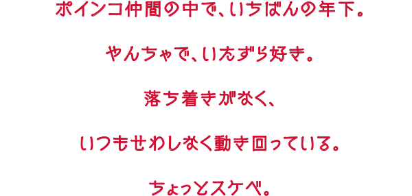 ポインコ仲間の中で、いちばんの年下。やんちゃで、いたずら好き。落ち着きがなく、いつもせわしなく動き回っている。ちょっとスケベ。