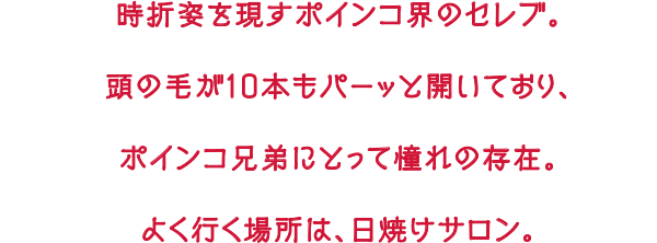 時折姿を現すポインコ界のセレブ。頭の毛が10本もパーッと開いており、ポインコ兄弟にとって憧れの存在。よく行く場所は、日焼けサロン。