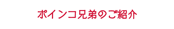 ポインコ兄弟のご紹介
