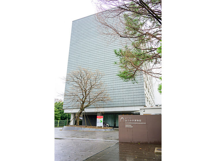 国立科学博物館 | 2025 ドコモ未来フィールド | 参加者達が施設に入る様子