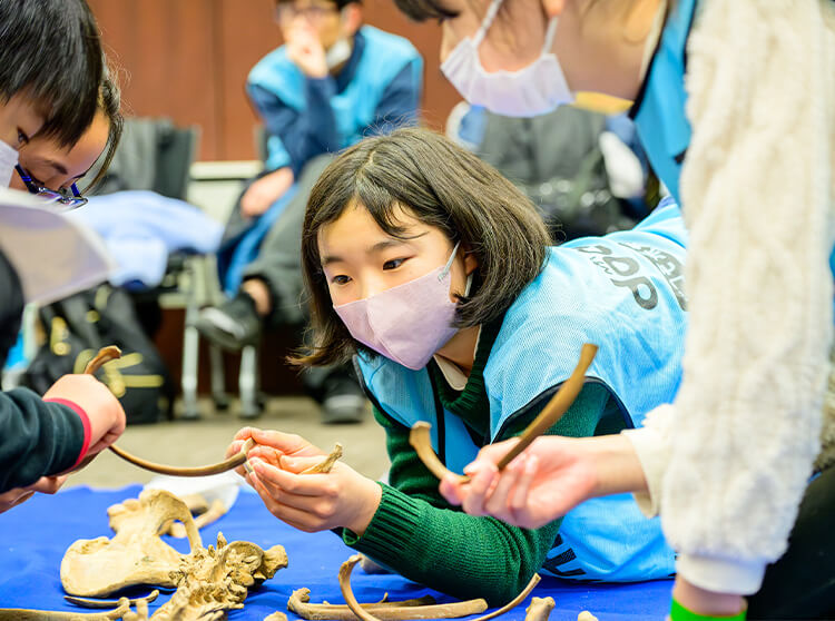 国立科学博物館 | 2025 ドコモ未来フィールド | 発表会の準備をする様子