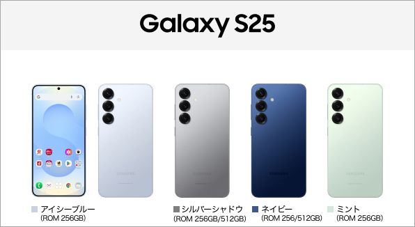 Galaxy S25 SC-51F
