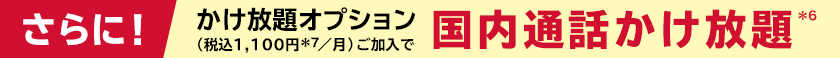 さらに！かけ放題オプション（月額：税込1,100円＊7）ご加入で国内通話かけ放題＊6